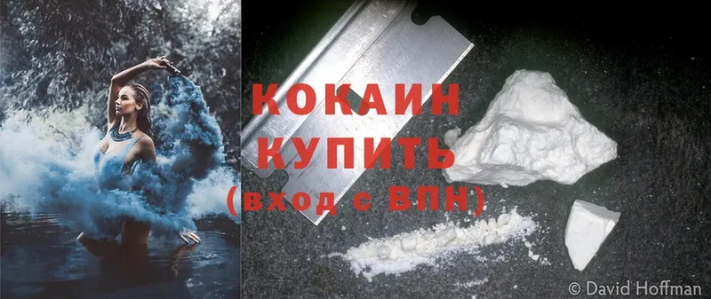 Cocaine FishScale  купить наркоту  Вуктыл 